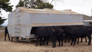 Dunstan Livestock Feeders 8